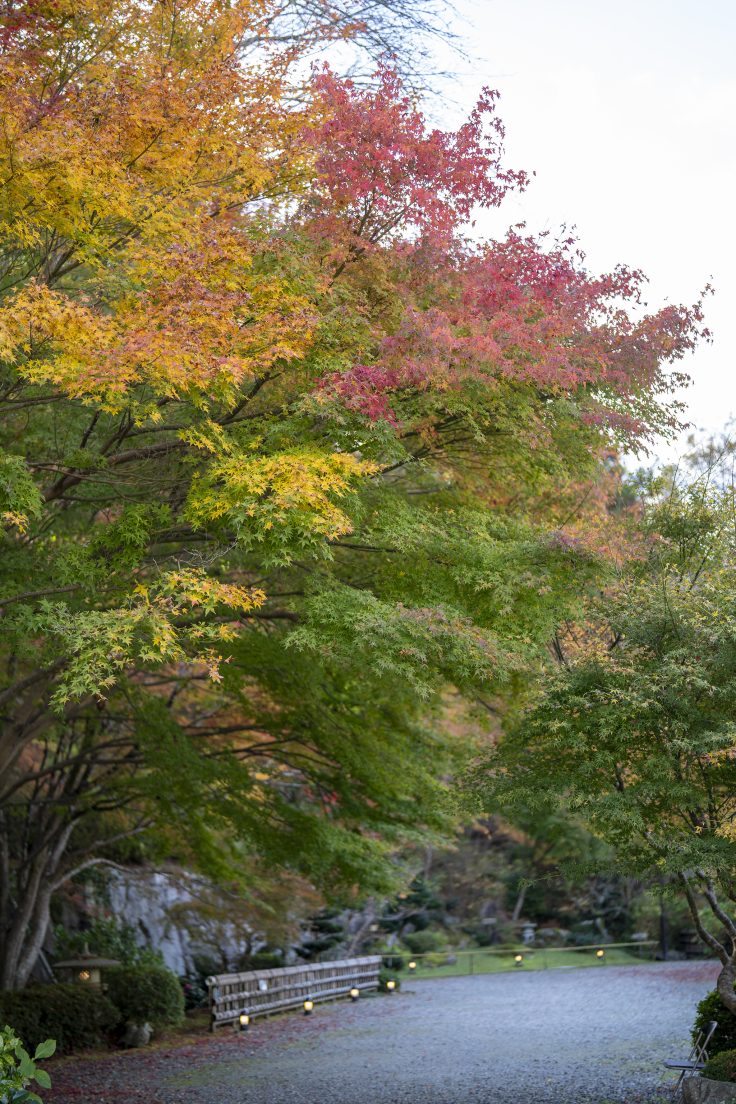 野田屋竹屋敷の紅葉2