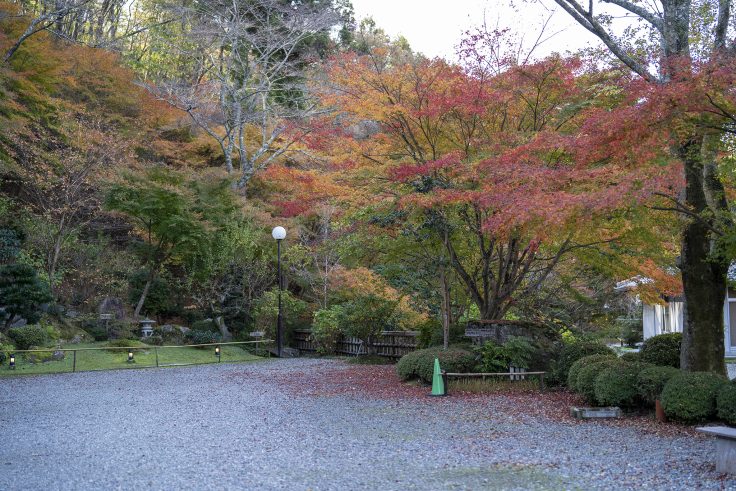 野田屋竹屋敷の紅葉4