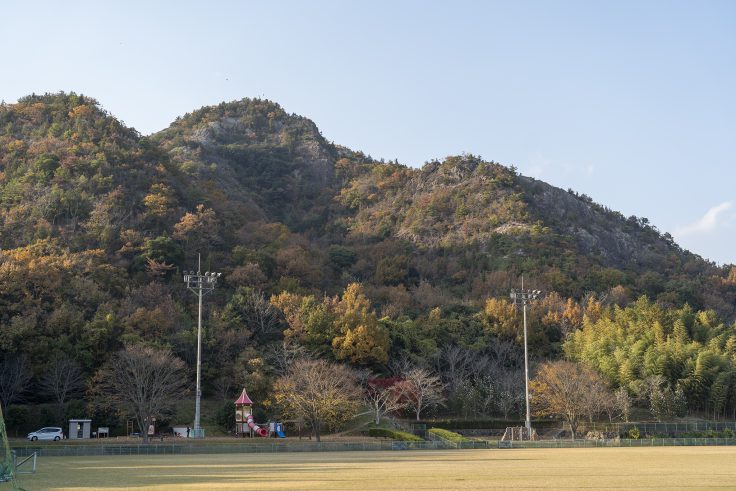 ぼうけんパークのサザンカと嶽山