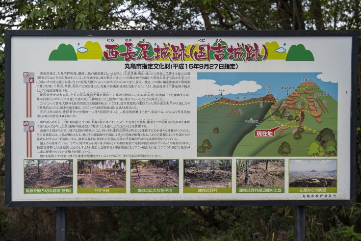 綾歌森林公園9