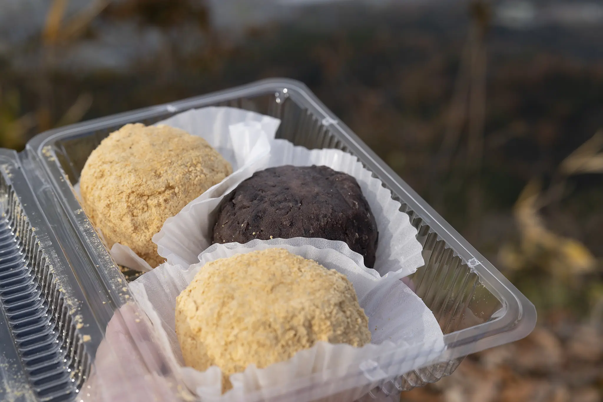 おはぎ餅　 丸亀市綾歌町「蔵餅」おはぎ×「綾歌森林公園」 | 旅カメラ