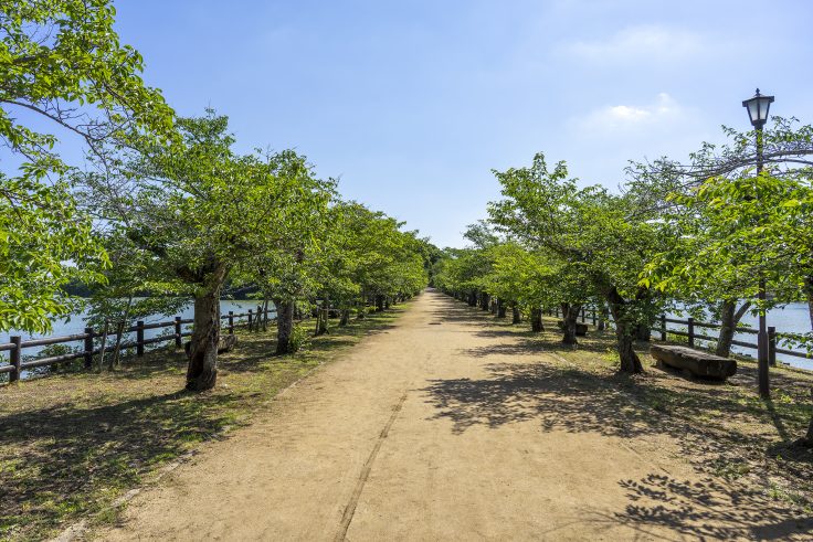 亀鶴公園