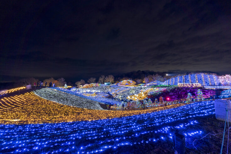 国営讃岐まんのう公園ウインターファンタジー2024④