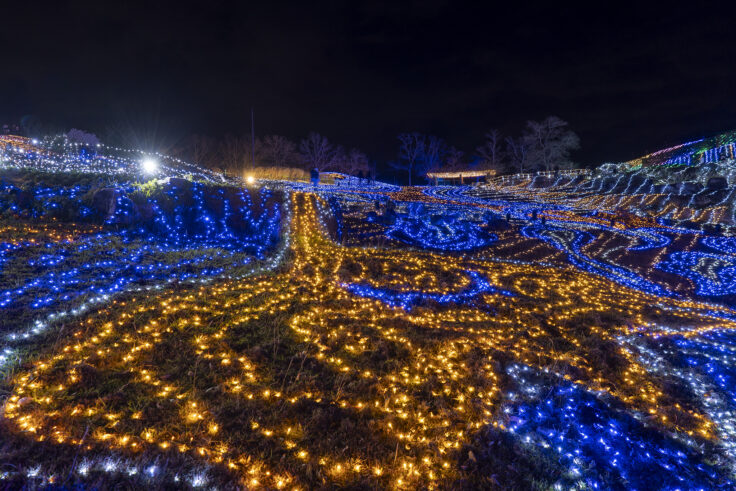 国営讃岐まんのう公園ウインターファンタジー2024⑫