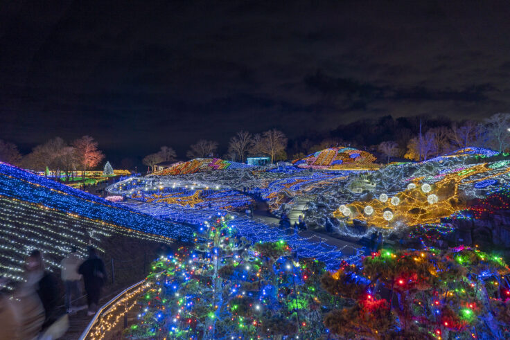 国営讃岐まんのう公園ウインターファンタジー2024⑮