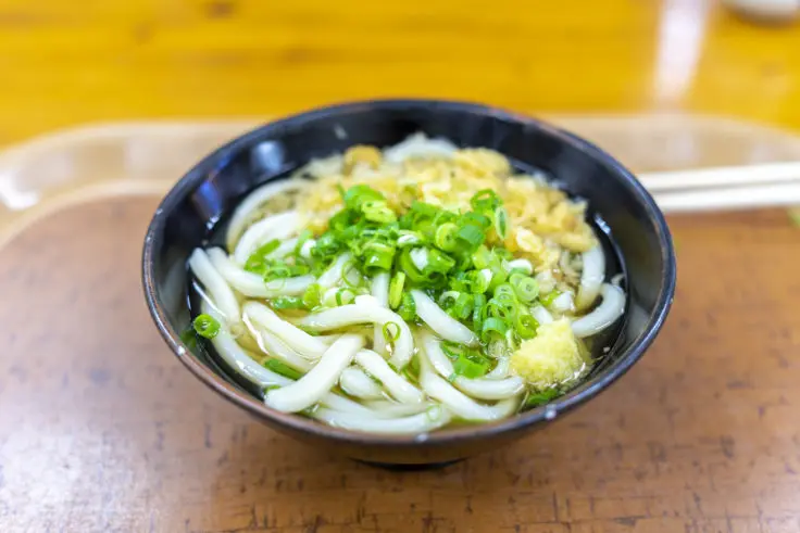 栗林公園を訪れたら讃岐うどん！「上原屋本店」はおすすめ。 | 旅カメラ