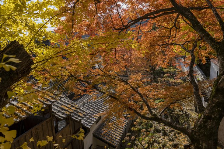 大窪寺の紅葉4