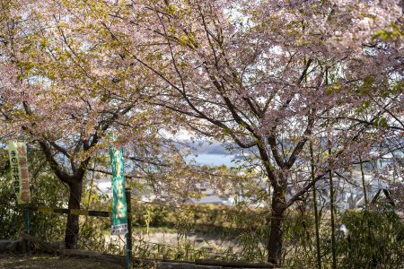 さぬき市志度多和神社7