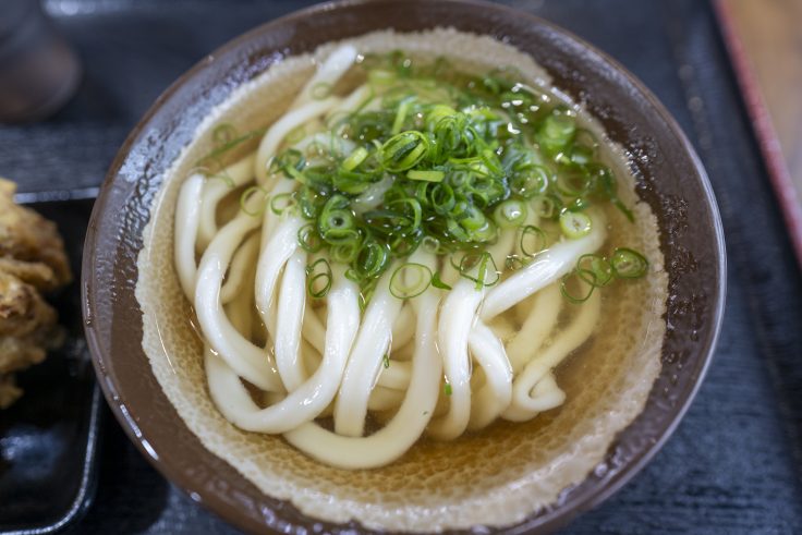 海侍のかけうどん