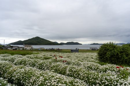 フラワーパーク浦島7