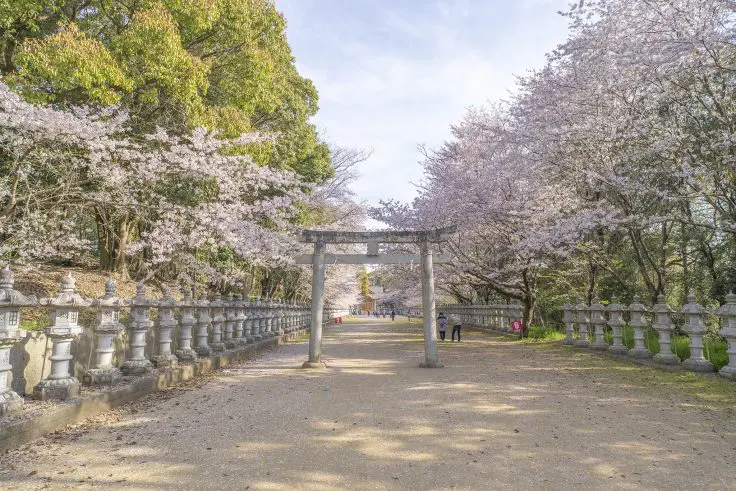 木田郡三木町「池戸八幡神社」の桜 | 旅カメラ