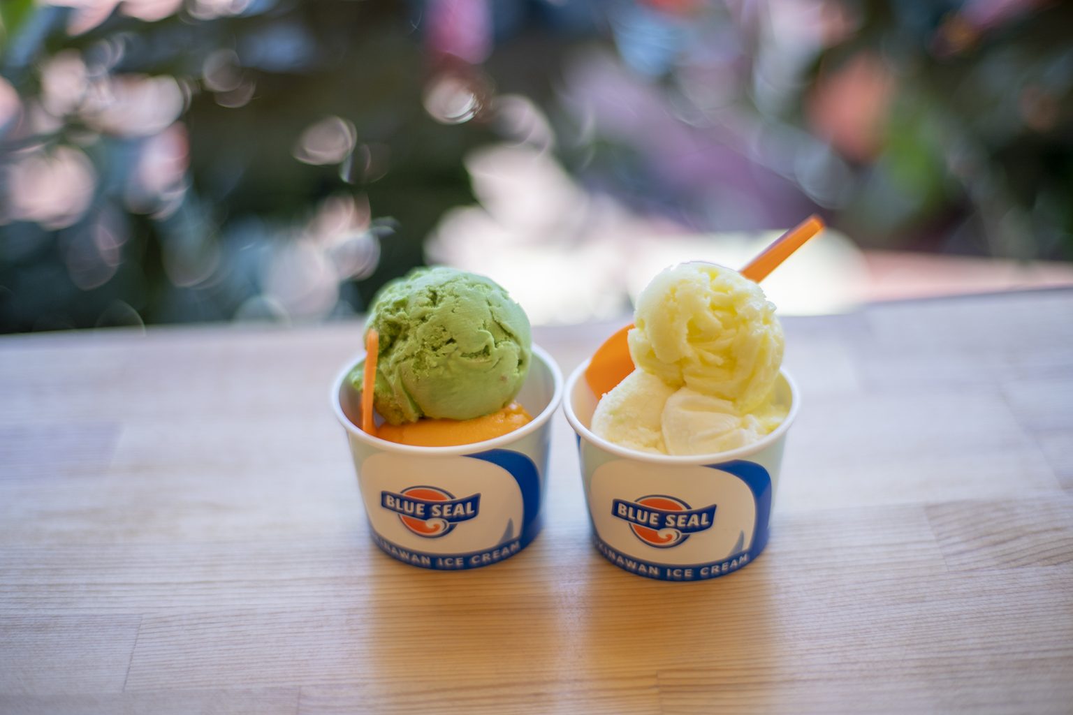 ブルズアイ　ハランシルマ　ヌータヤルヴィ　ブルー５個　箱あり BLUE SEAL × PUZO CHEESECAKE CELLAR コラボ第2弾| ブルーシール