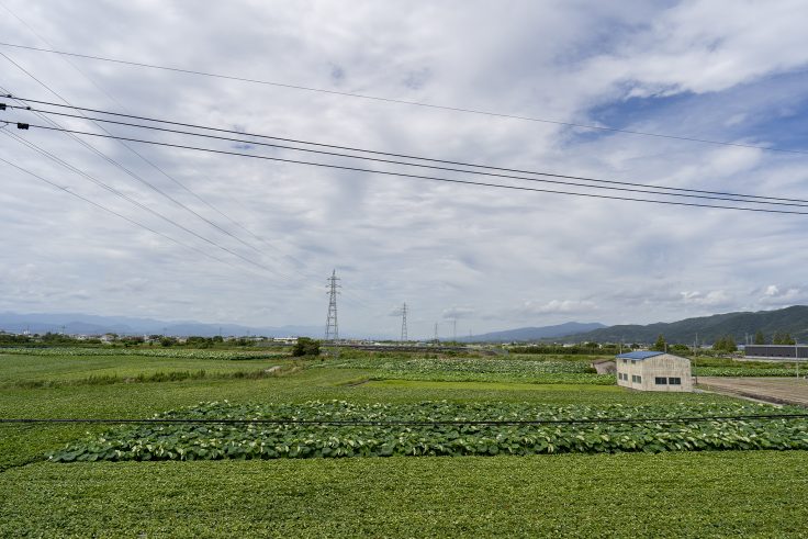 くるくるなると2階の景色