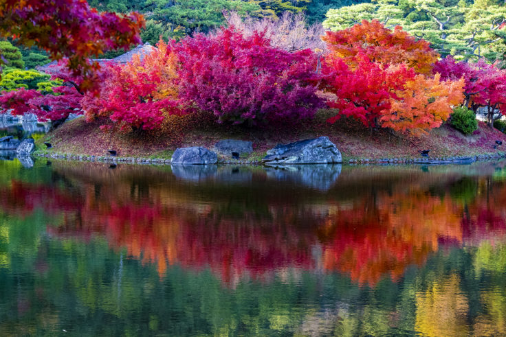 楓嶼の紅葉