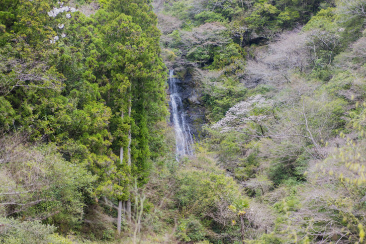 山姥の滝
