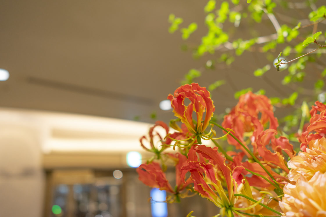 燃える焔 グロリオサ 旅カメラ